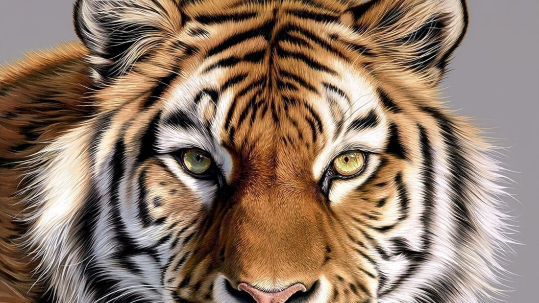 Darryn Eggleton Striking a Pose collection from Artworx Gallery