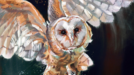 DEBBIE BOON - Forest, Field and Sky