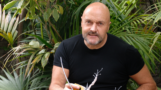 Tim Cotterill (Frogman) back at Artworx Gallery