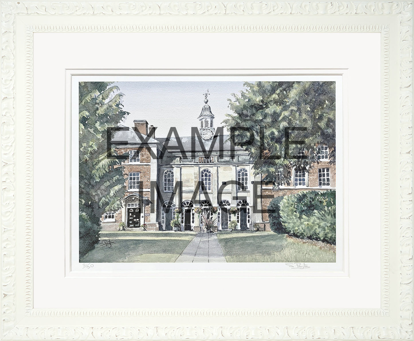 20" x 16" Frames