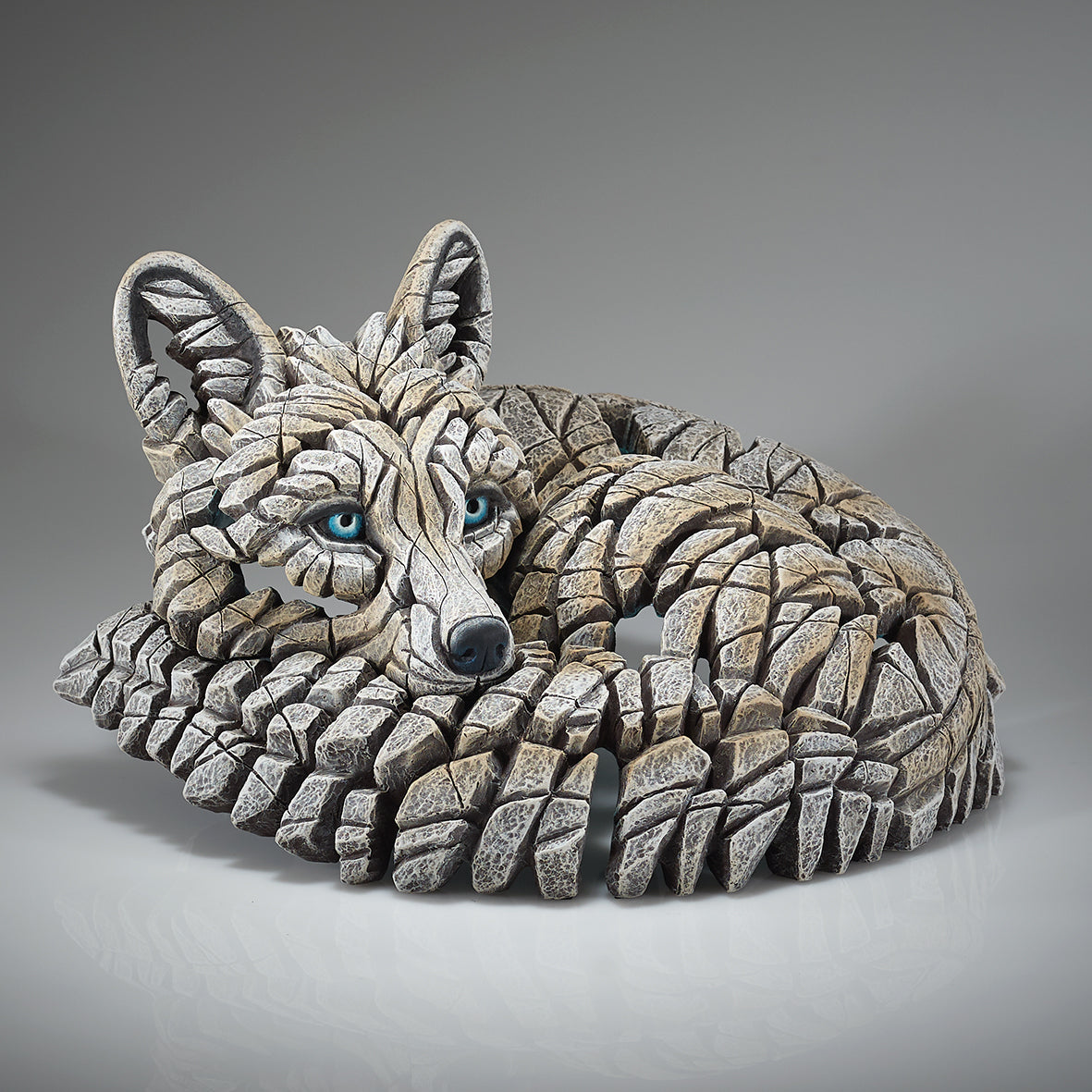 Curled Up Arctic Fox