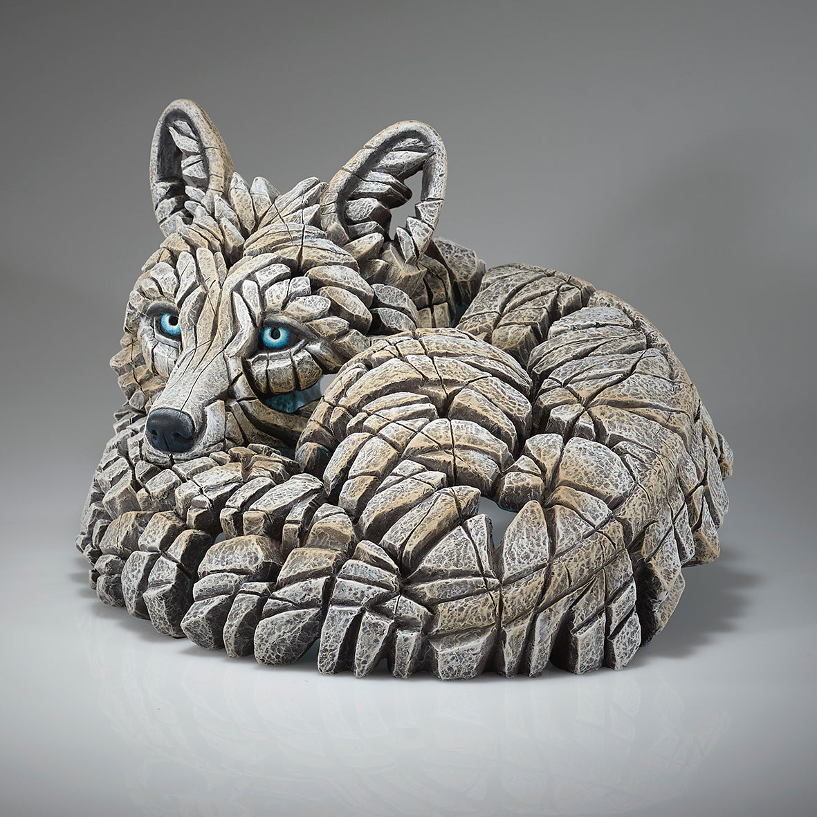 Curled Up Arctic Fox