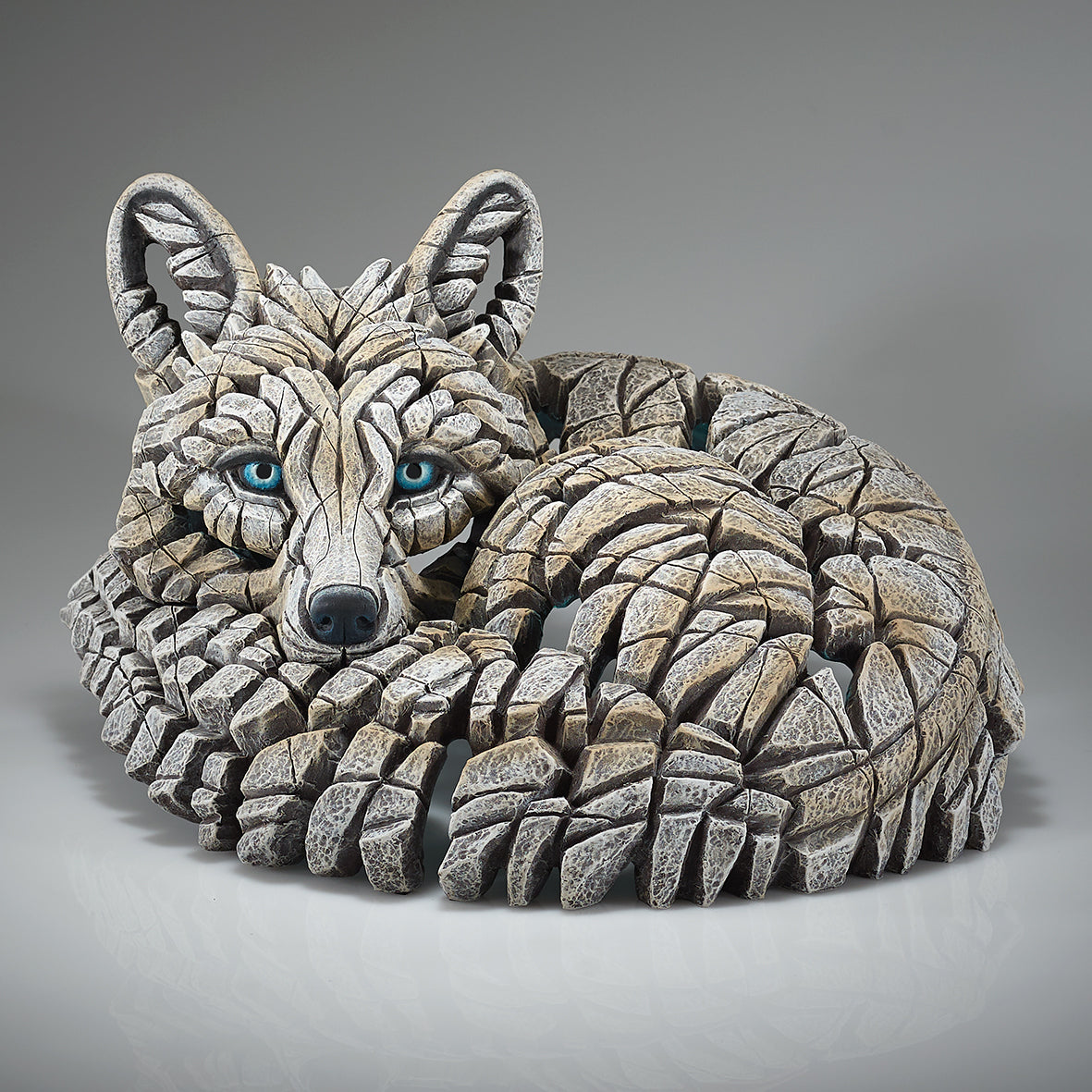 Curled Up Arctic Fox