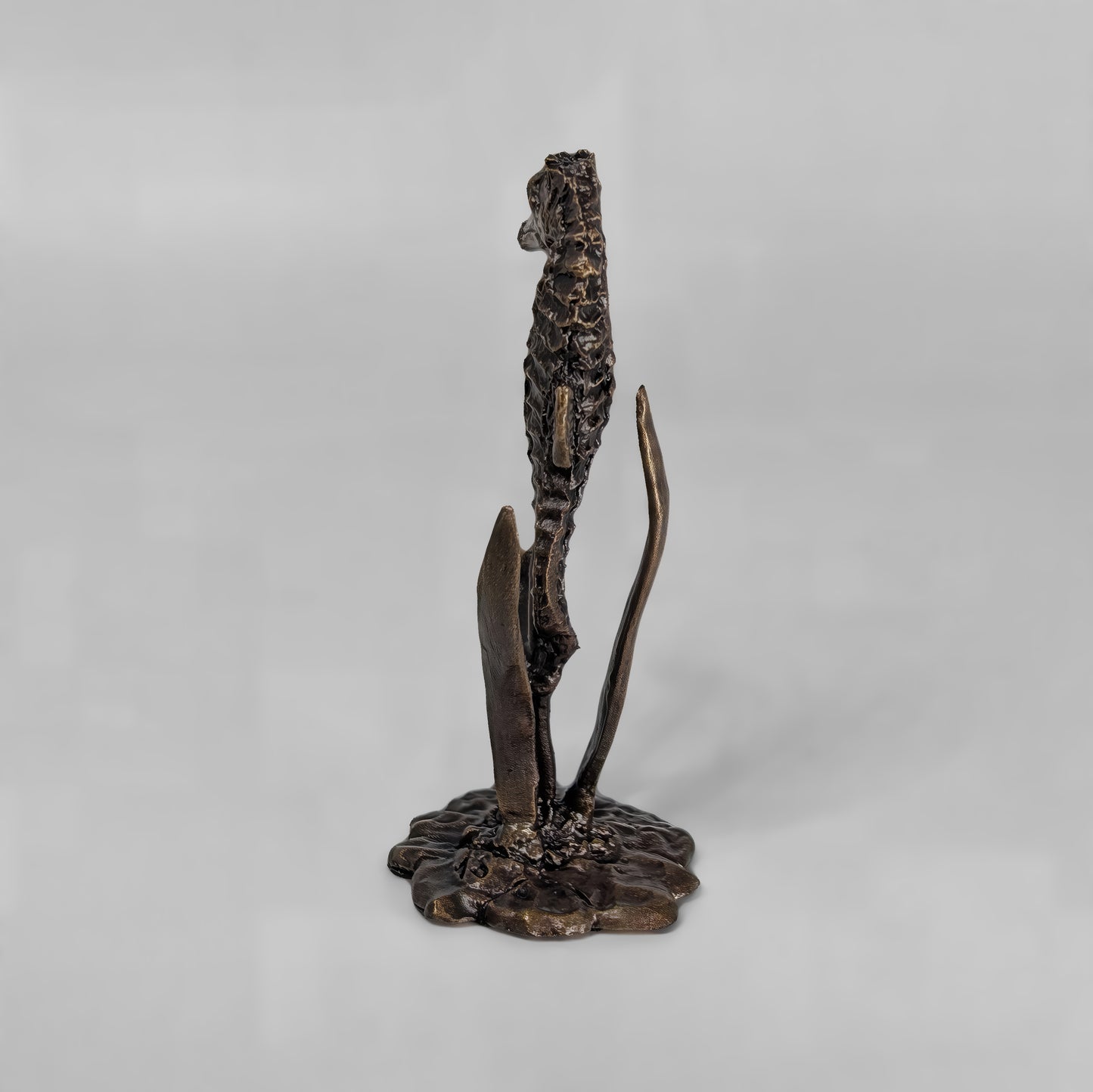 Seahorse
