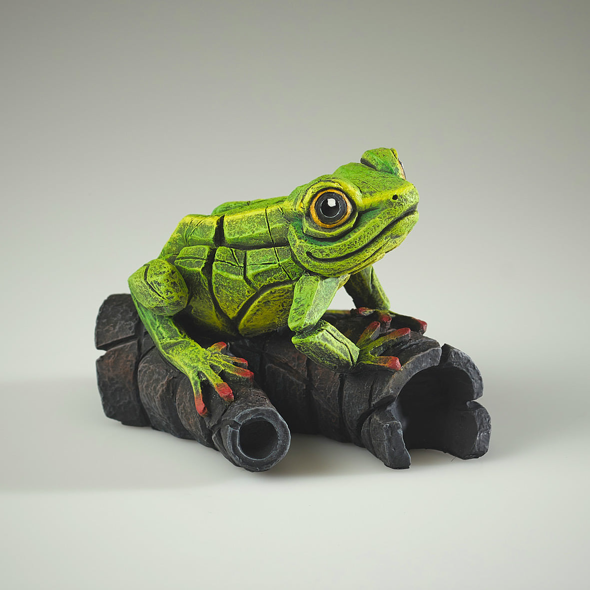 African Tree Frog Green from Edge Sculpture by Matt Buckley