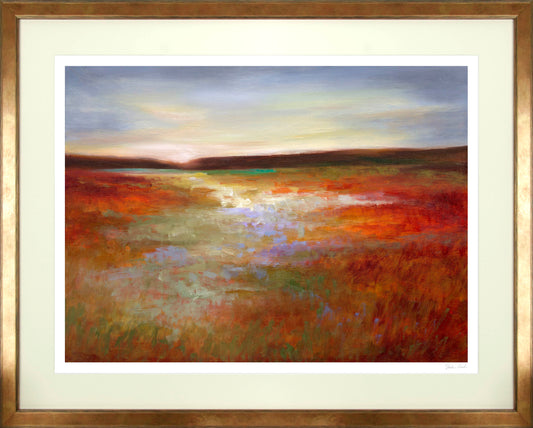 Light Across the Meadow framed print by Sheila Finch