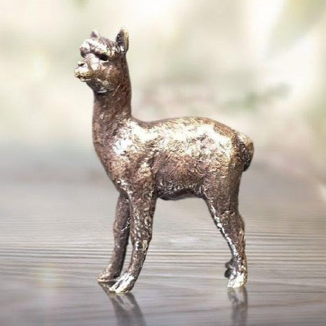 Alpaca