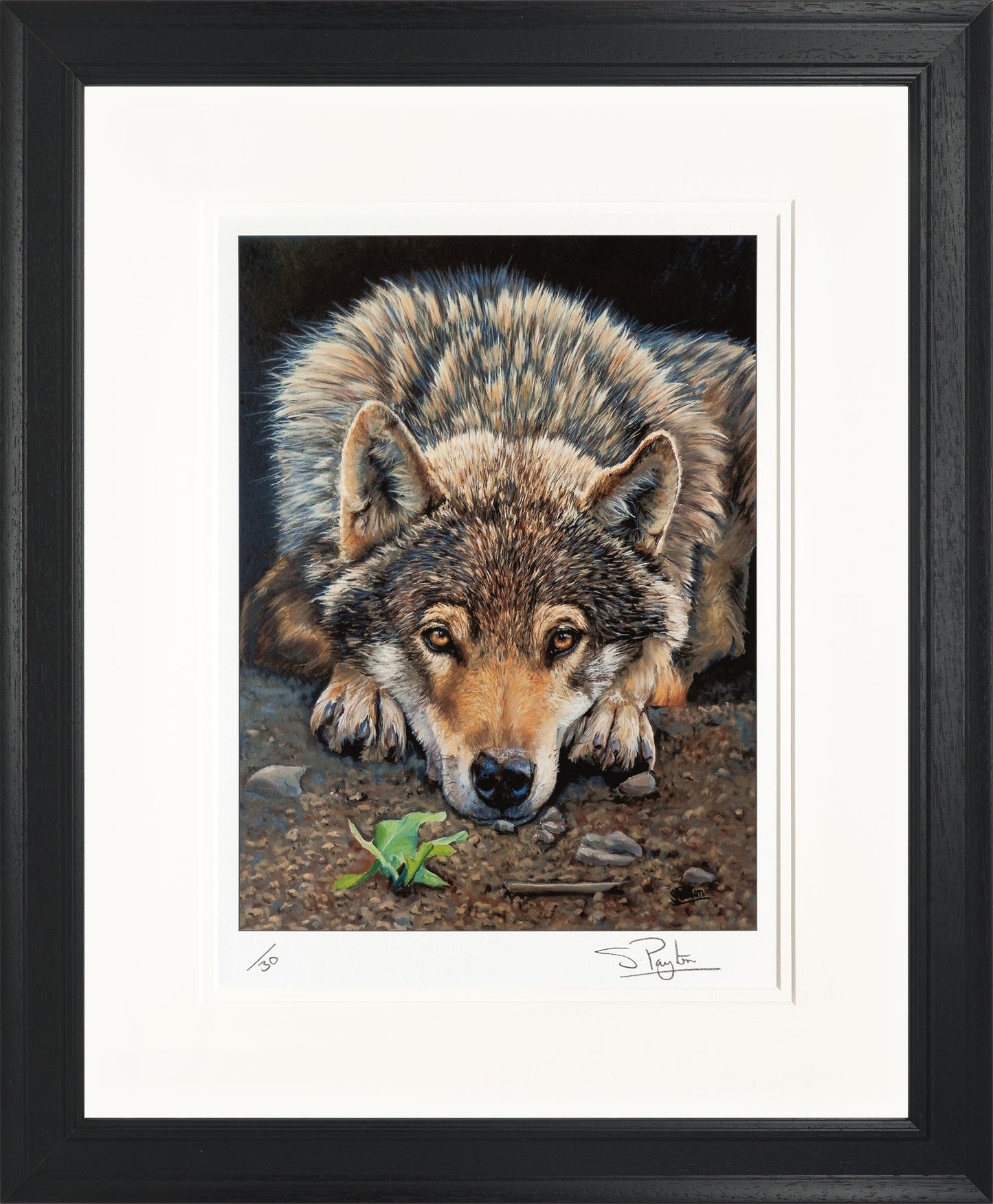 Patience Limited Edition Print by Sue Payton