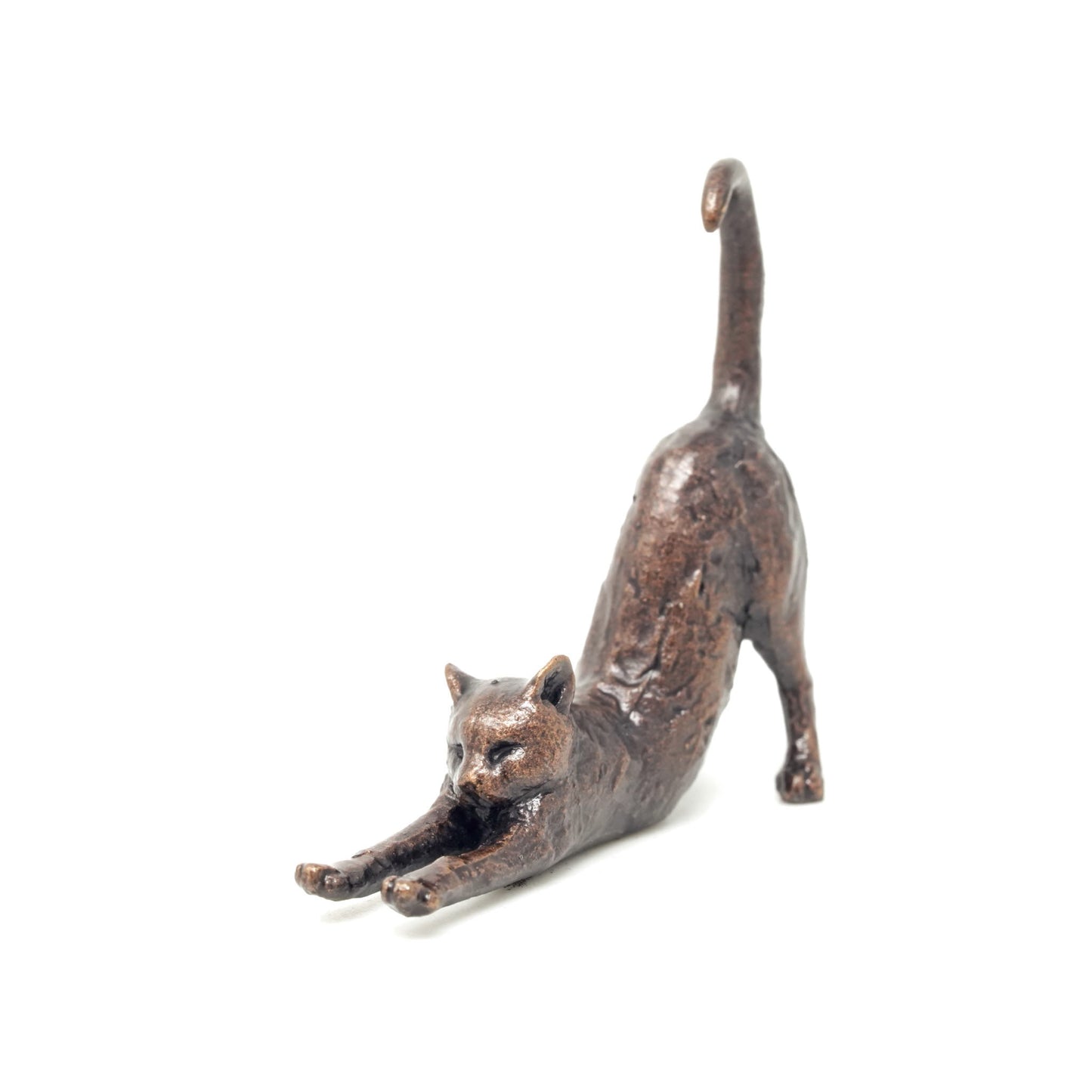 Cat Stretching