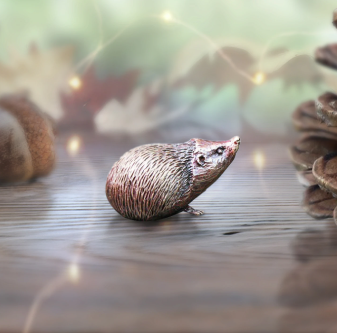 Hedgehog by Butler and Peach