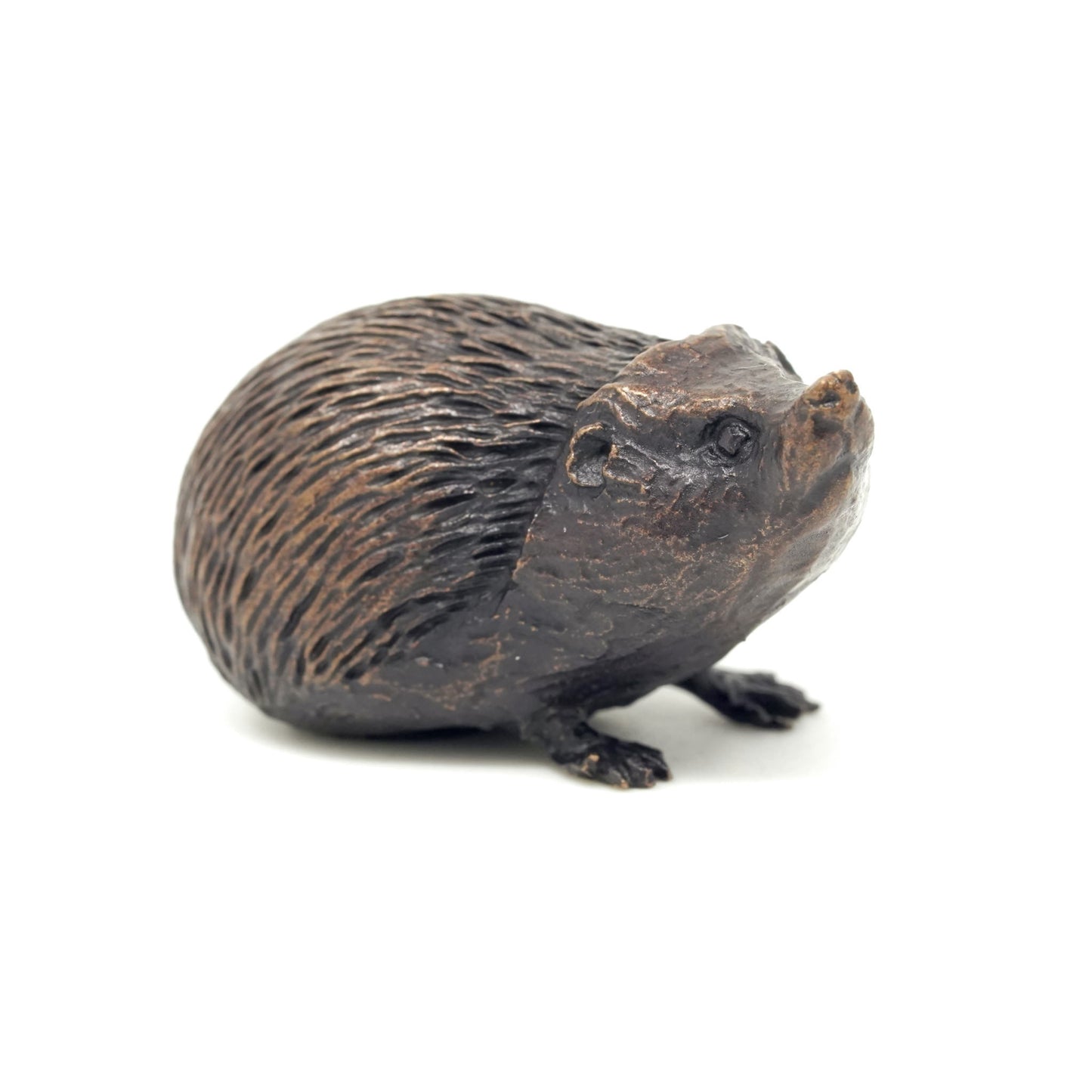 Hedgehog