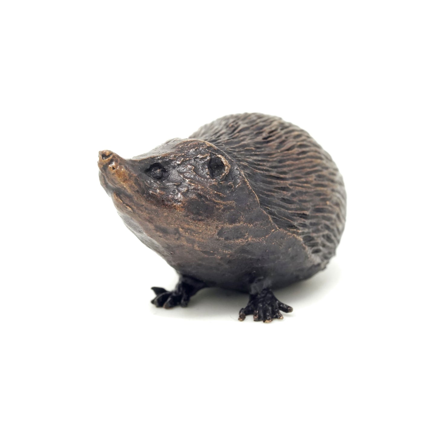 Hedgehog