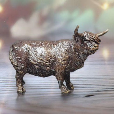 Highland Cow