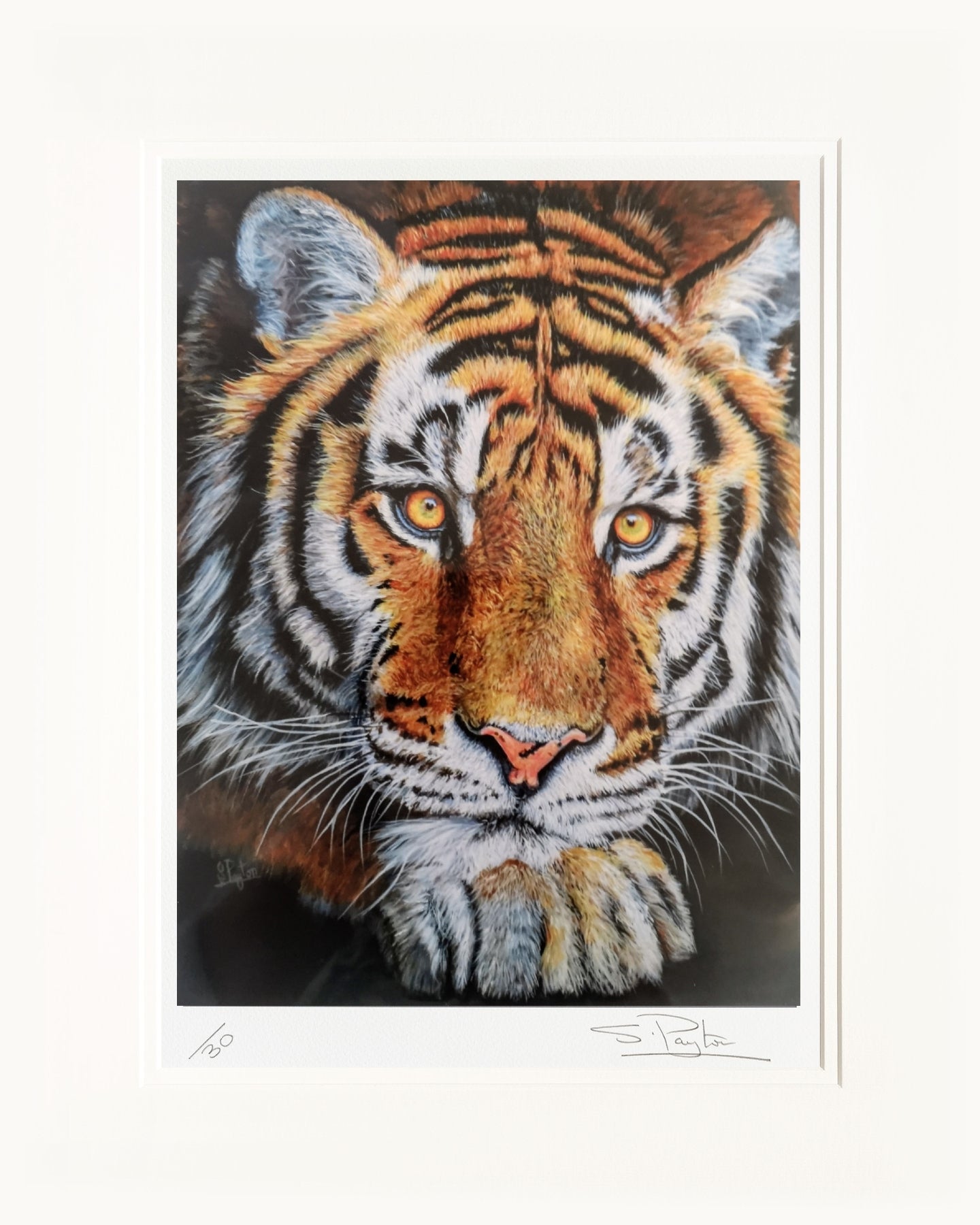 Jupiter limited edition print by Sue Payton