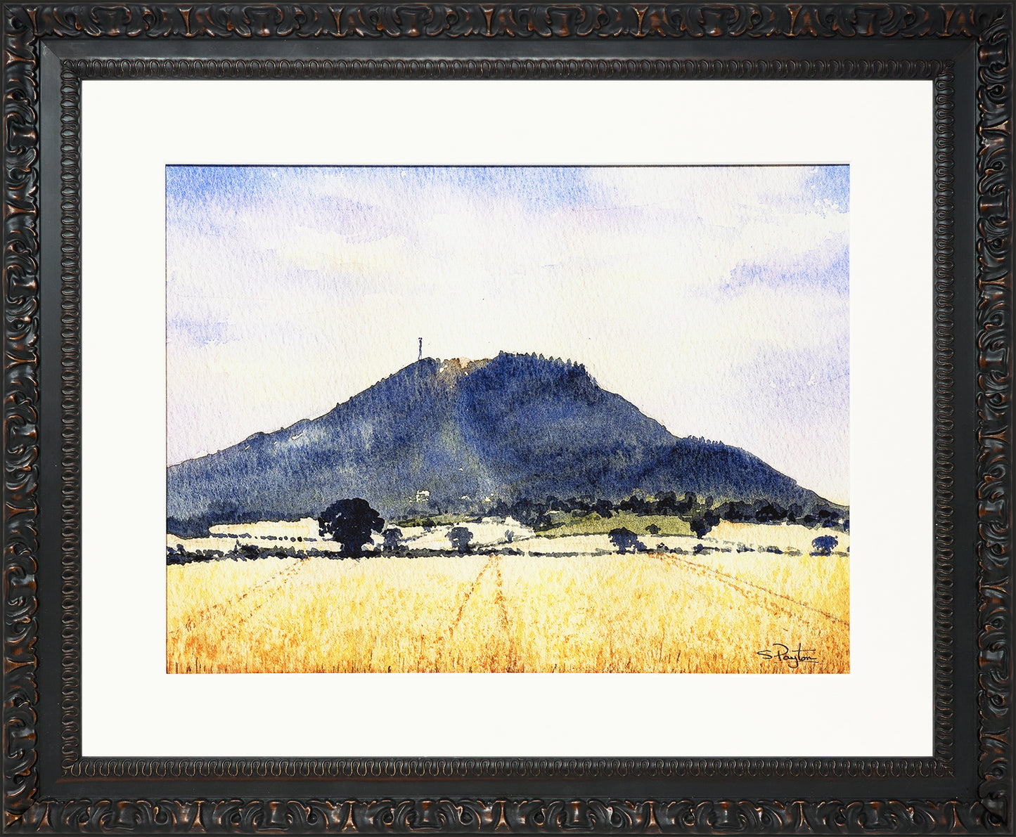 The Wrekin Shropshire Print by Sue Payton Ornate Black Frame