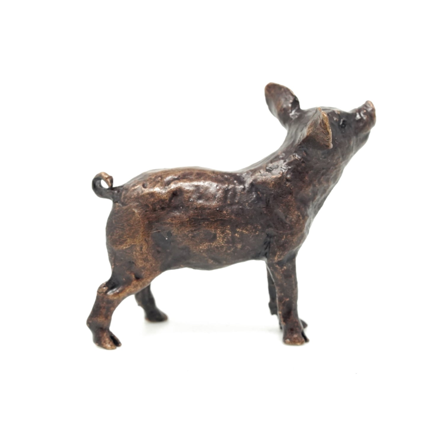 Pig
