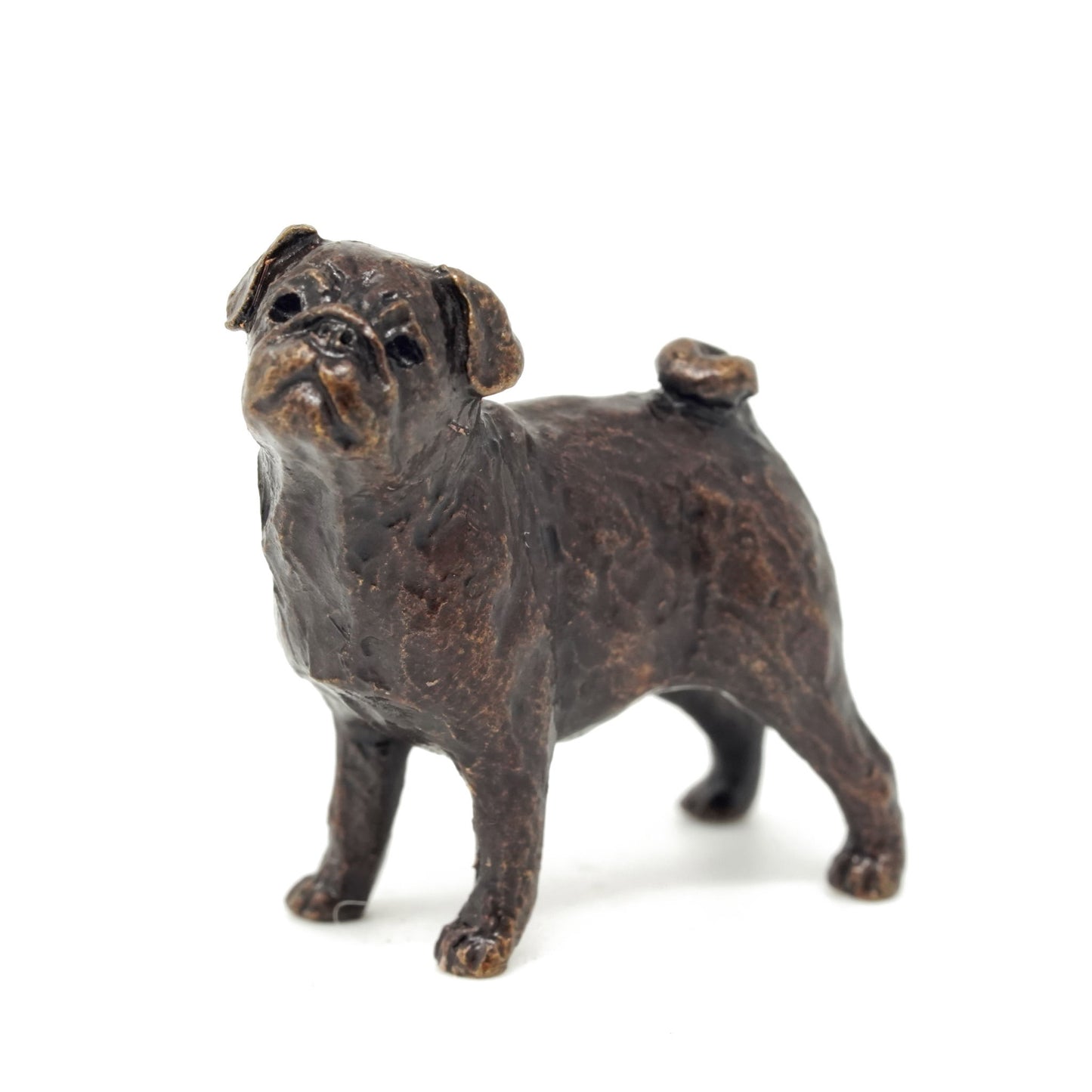 Pug