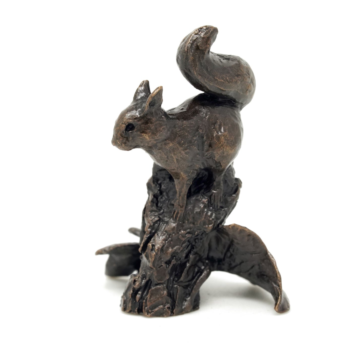 Red Squirrel