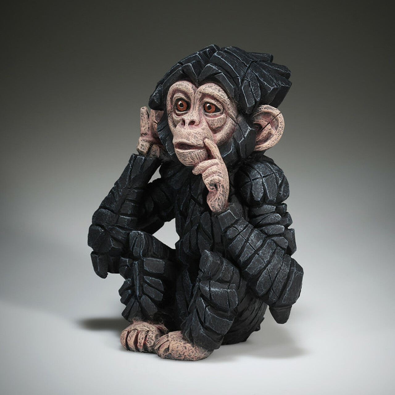 Baby Chimpanzee Hear No Evil