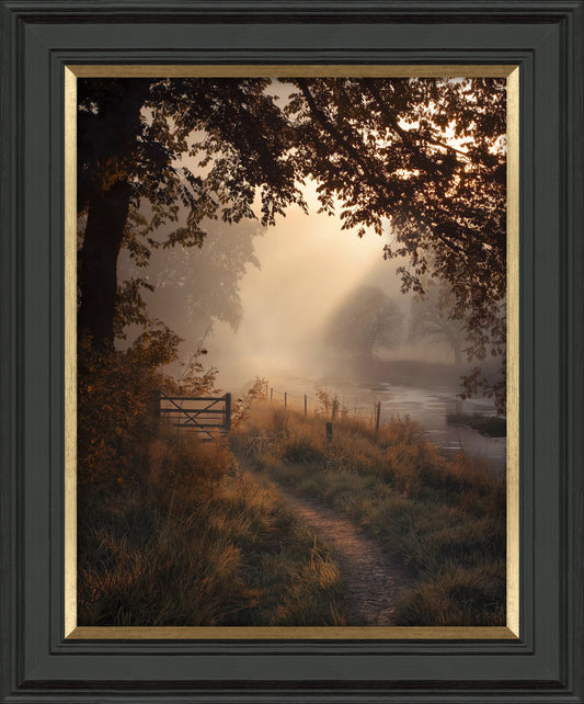 Falling Light I framed print by M Torelli