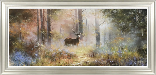 Forest Spirit framed print by Allan Morgan