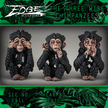 Baby Chimpanzee Hear No Evil