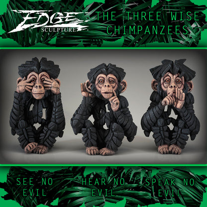 Baby Chimpanzee See No Evil