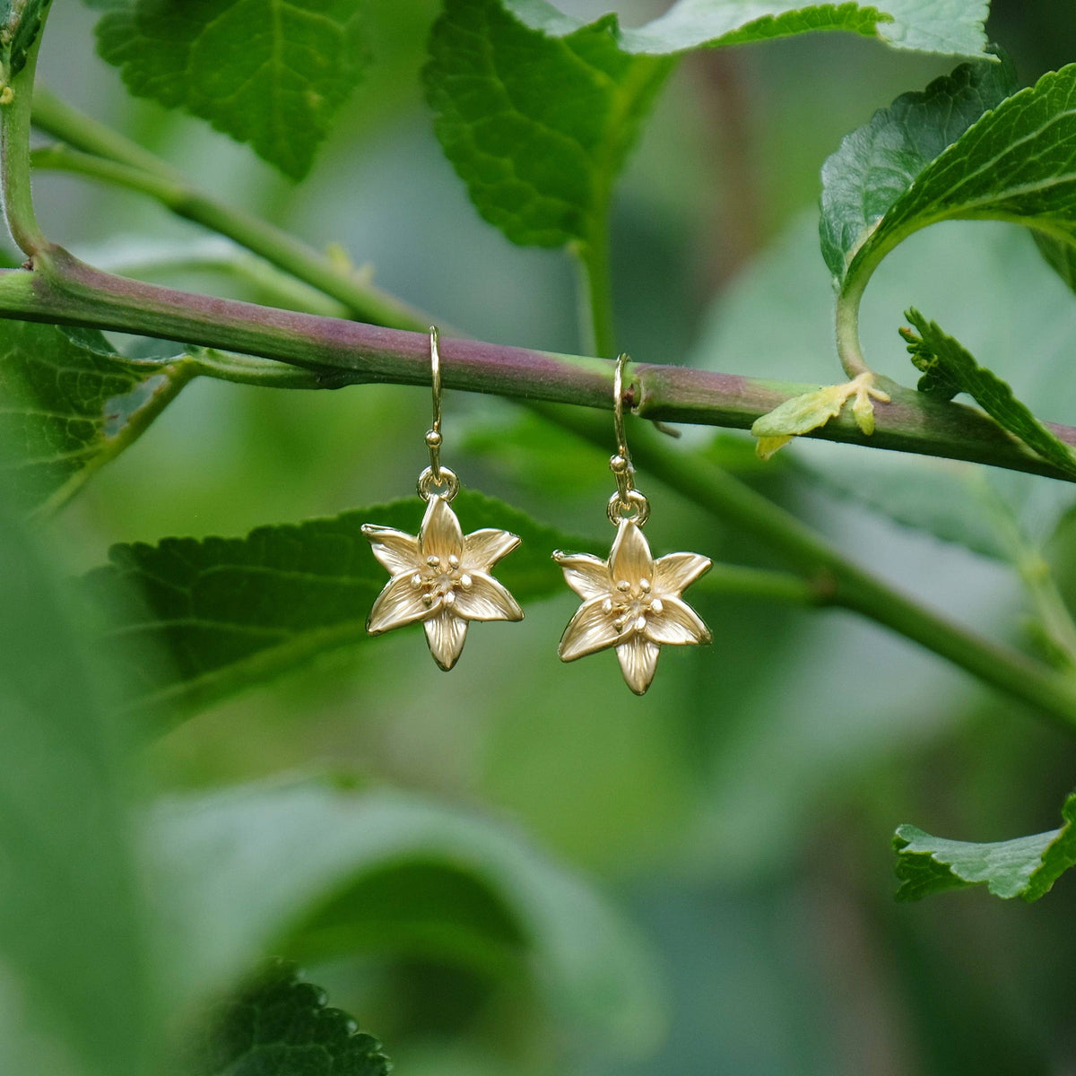 Lily Gold Necklace and Earrings