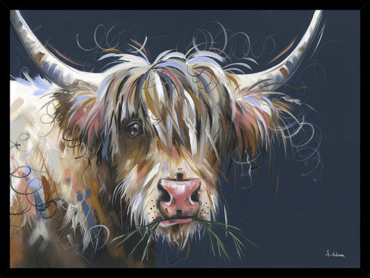 Highland Moo framed print by Ashley Saunders