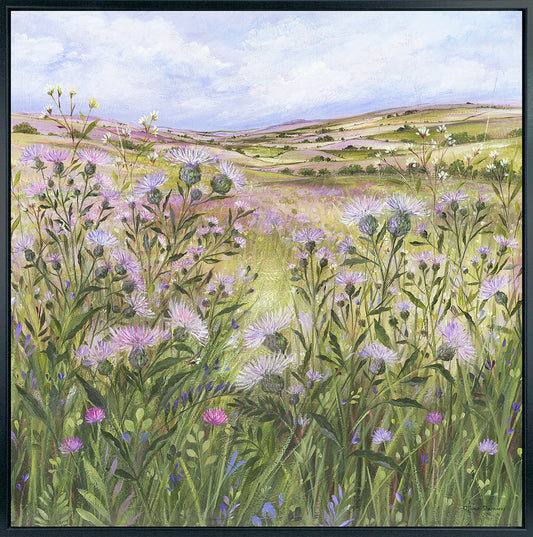 Lilac Thistle Field framed print by Diane Demirci