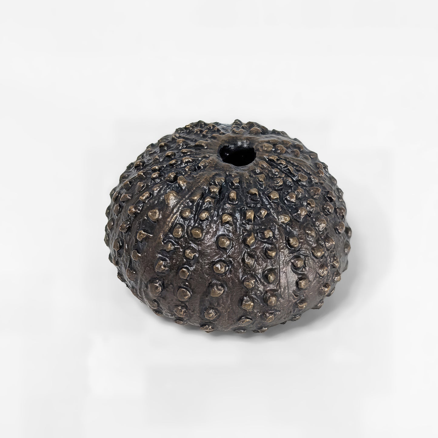 Sea Urchin