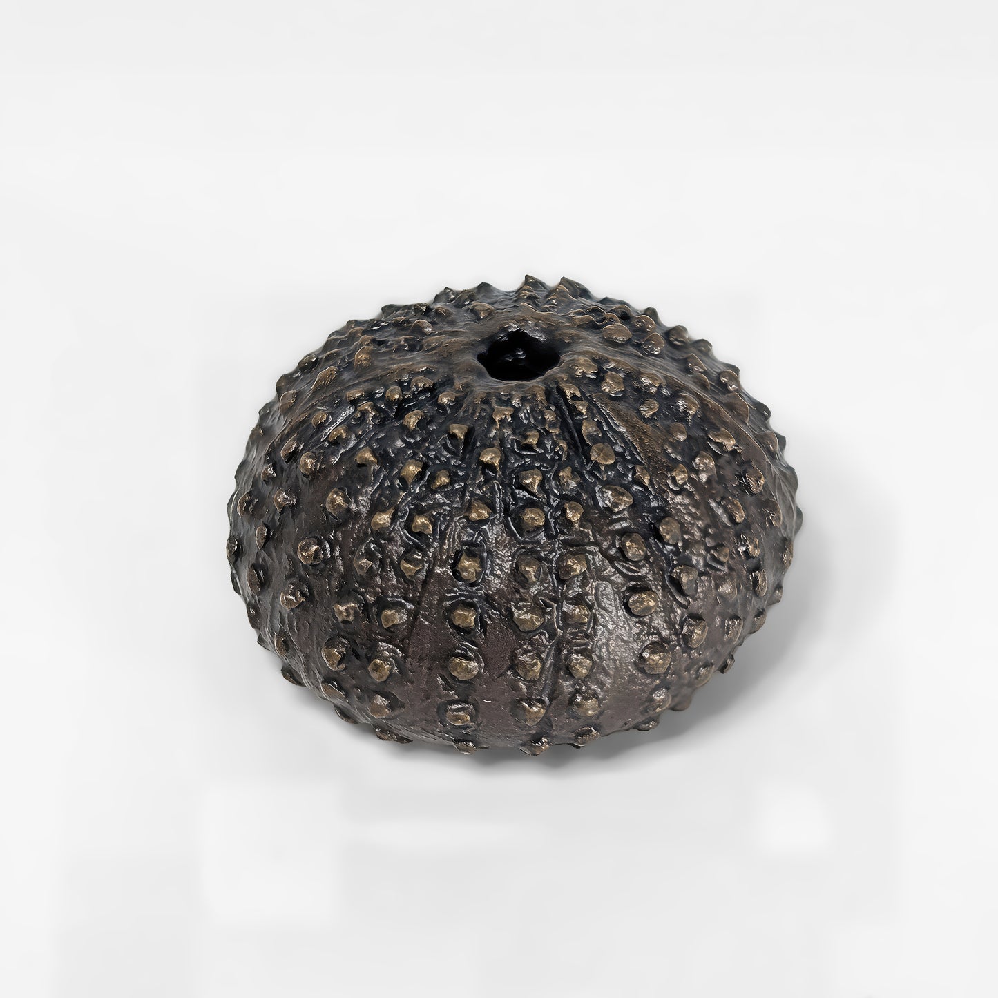 Sea Urchin