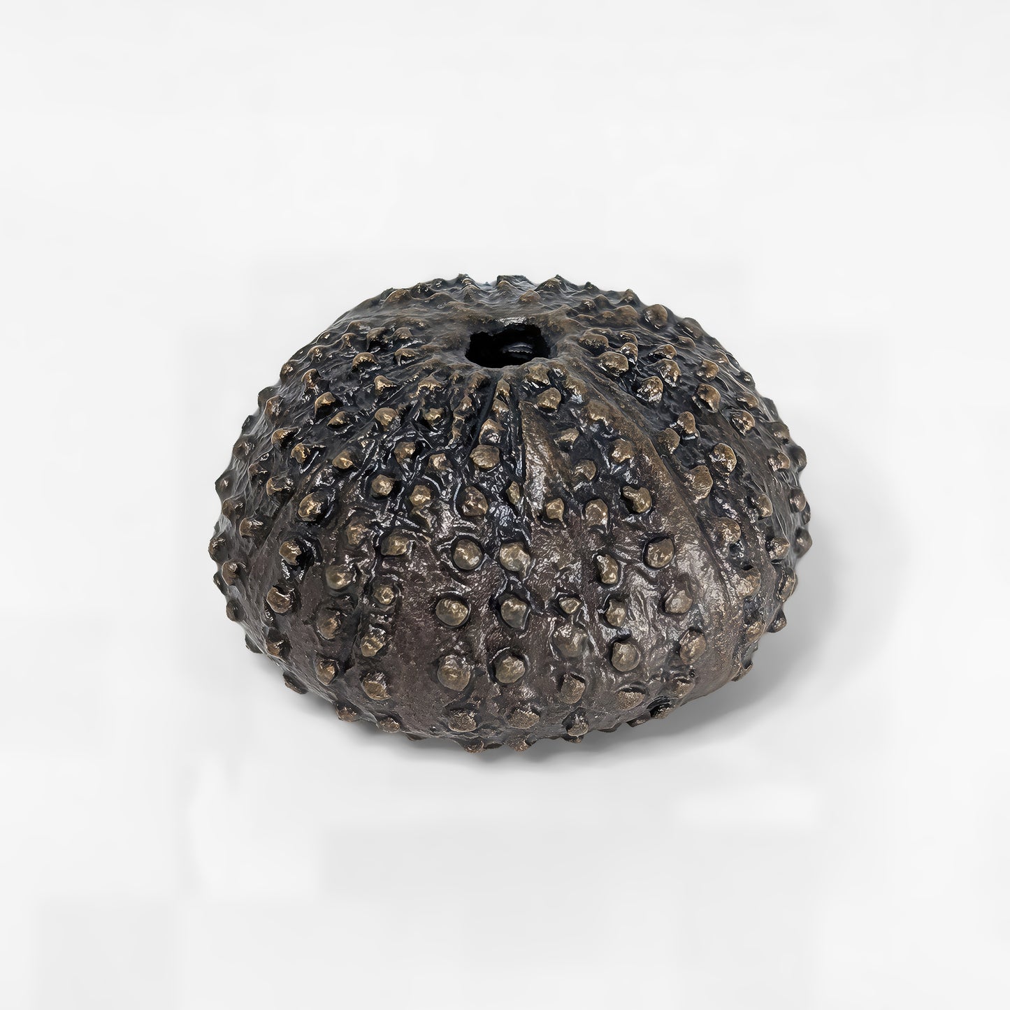 Sea Urchin