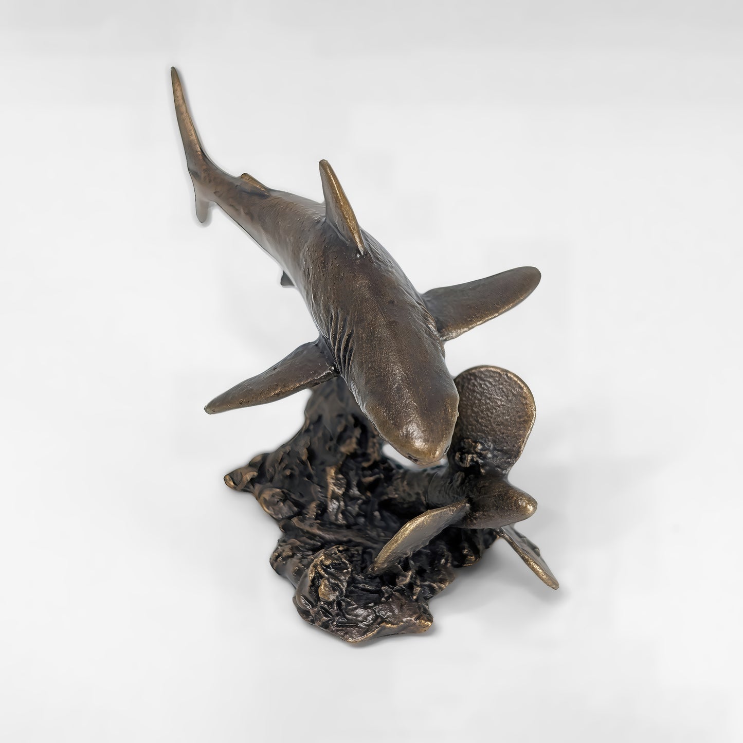 Great White Shark