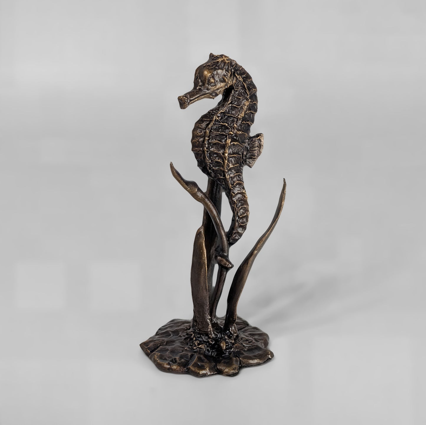 Seahorse