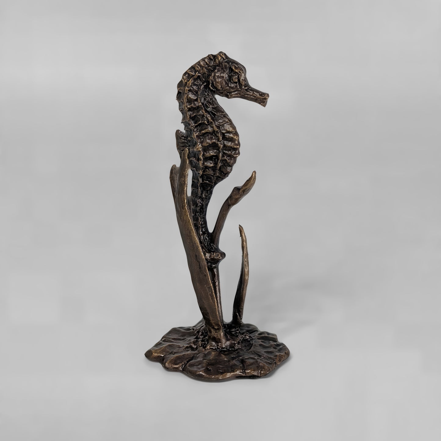 Seahorse