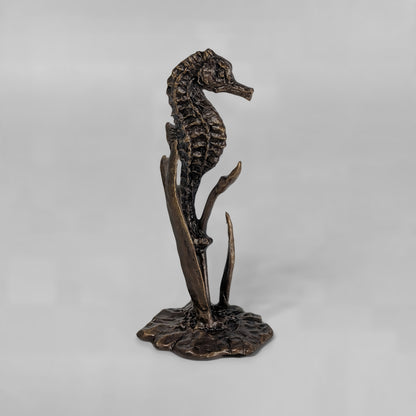 Seahorse