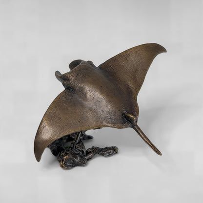 Manta Ray