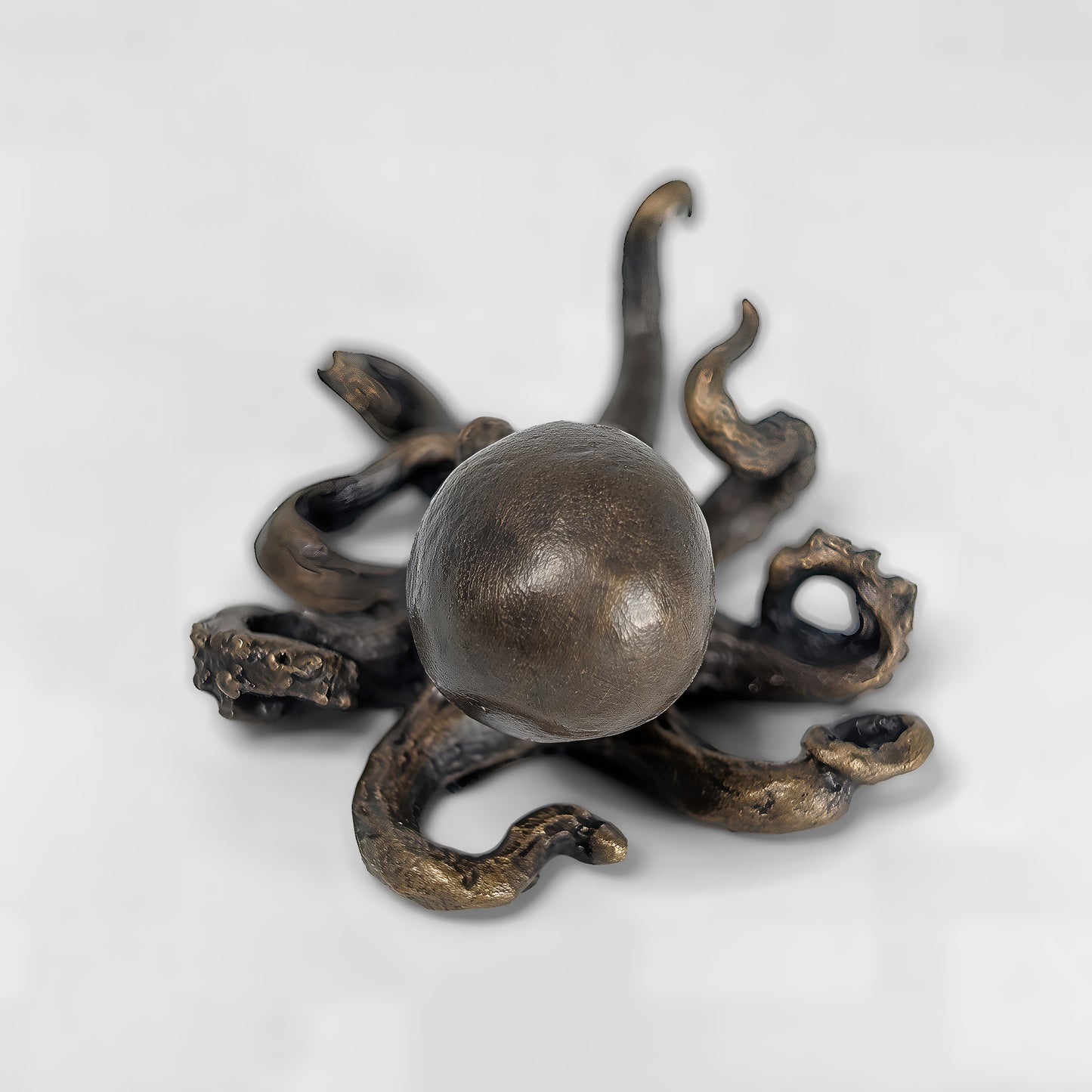 Octopus
