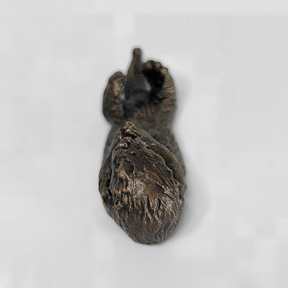 Sea Otter