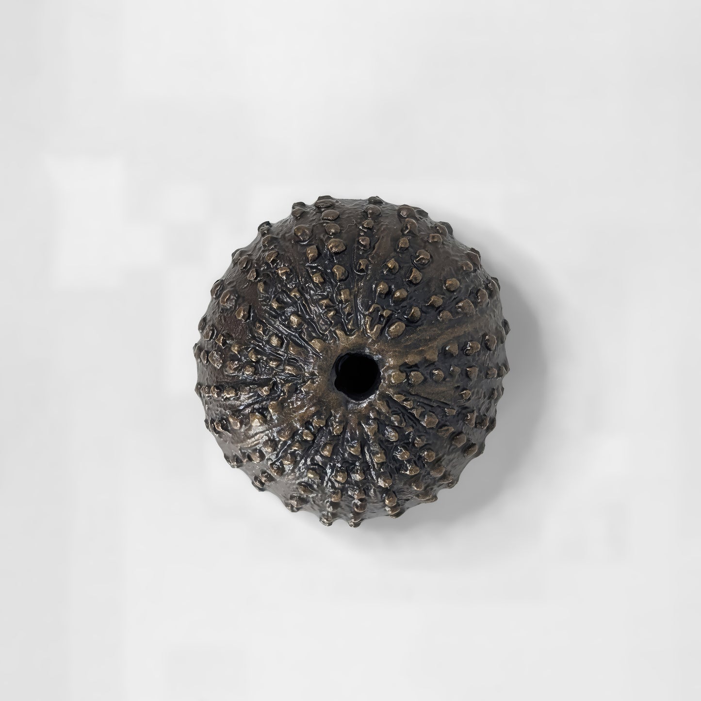 Sea Urchin