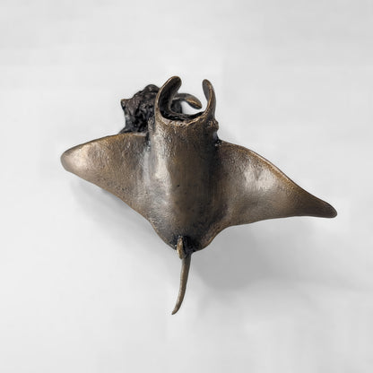 Manta Ray