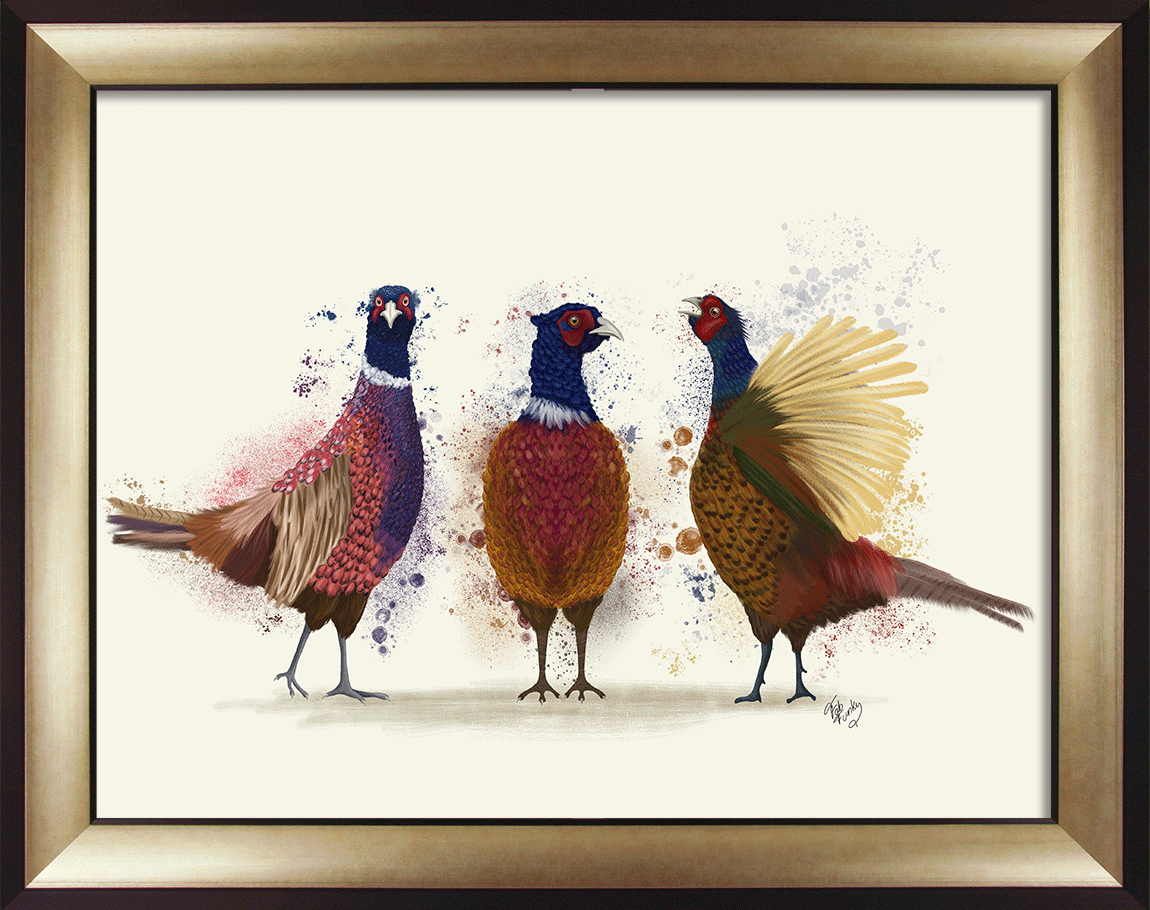 Pheasant Trio framed print by Camelot