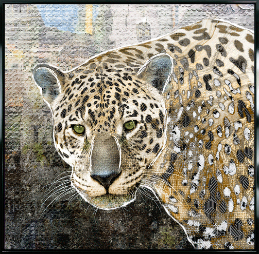 Pop Art Jaguar framed print by Camelot