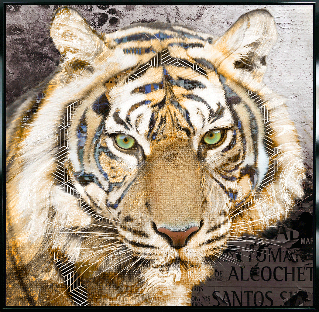 Pop Art Tiger framed print by Camelot