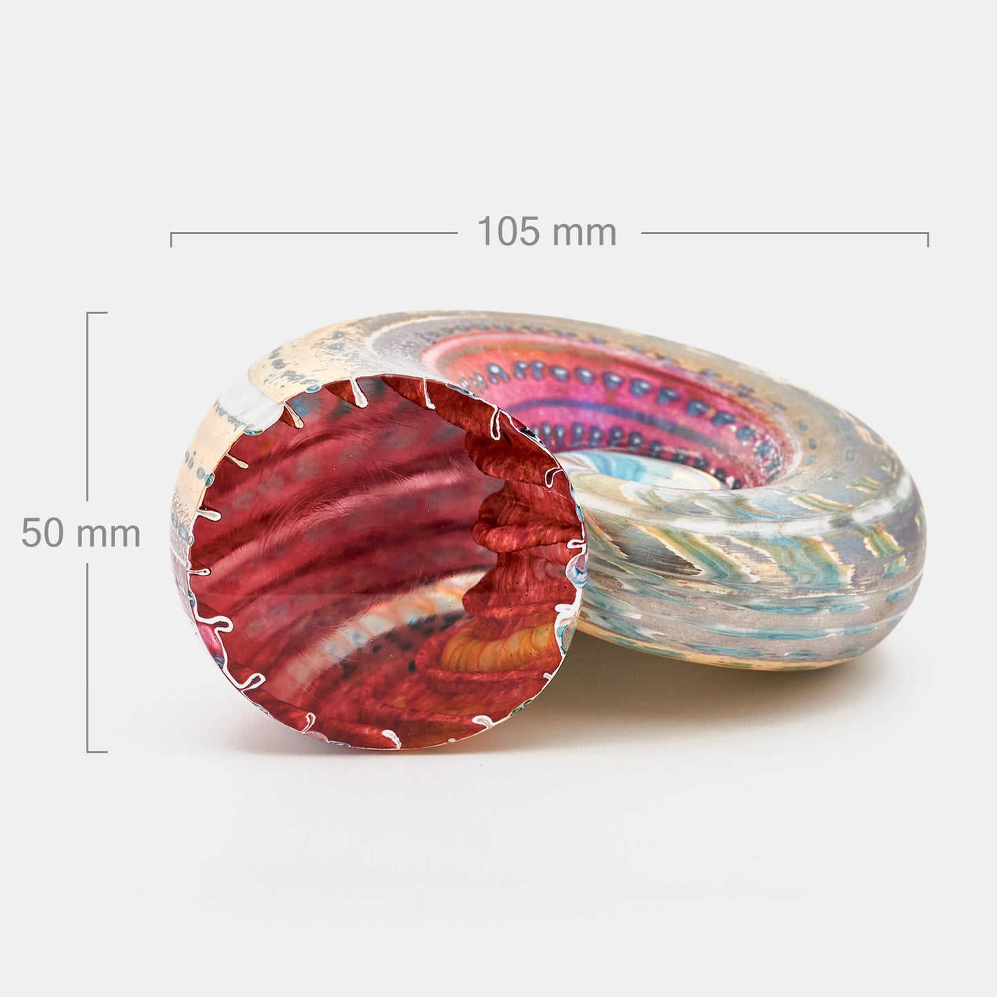Iridised Ammonite Shells