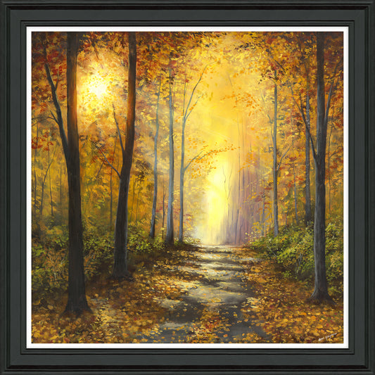 Shining Through framed print by Ben Goymour