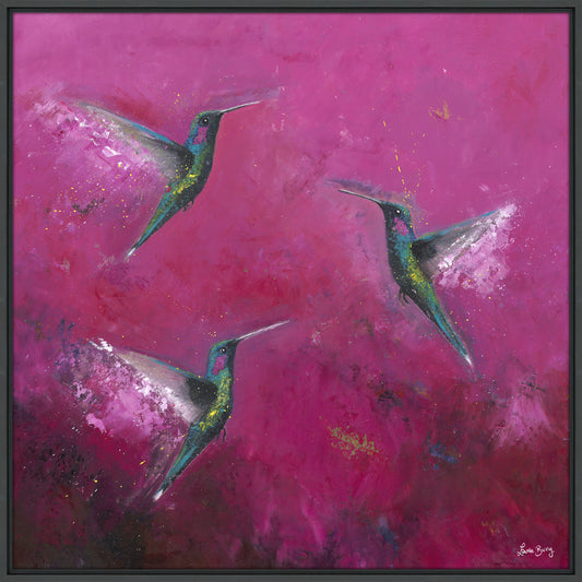 The Joy Of Hummingbirds framed print by Laure Bury