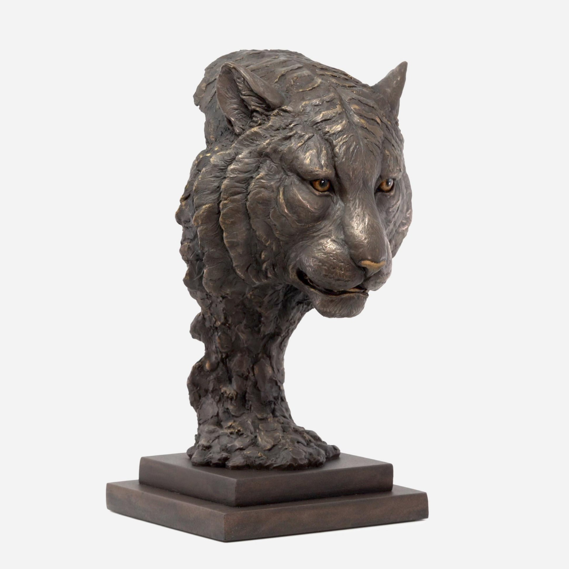 Tiger Bust bronze sculpture by Keith Sherwin