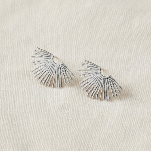 Pair of silver earrings on a white background